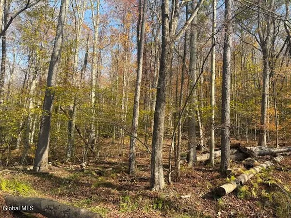 $2,868,000 | L1 Peakville Road, East Branch, NY 13756