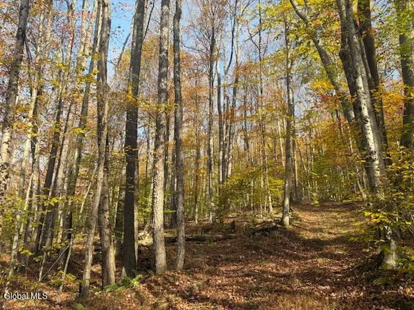 $2,868,000 | L1 Peakville Road, East Branch, NY 13756