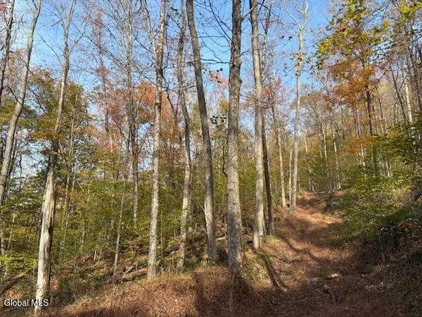 $2,868,000 | L1 Peakville Road, East Branch, NY 13756