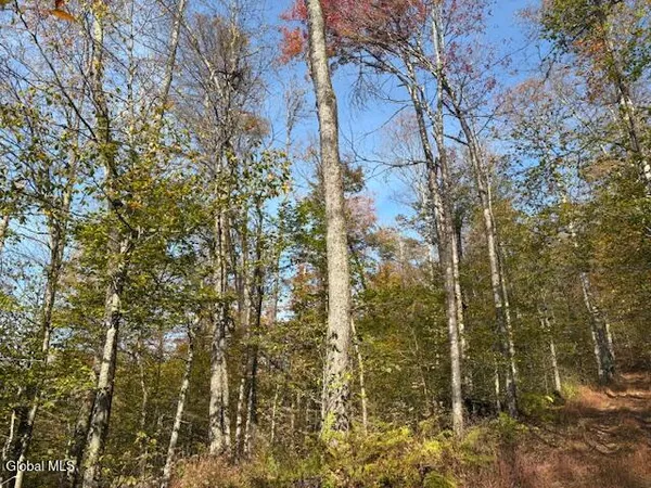 $2,868,000 | L1 Peakville Road, East Branch, NY 13756