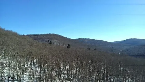 $2,868,000 | L1 Peakville Road, East Branch, NY 13756