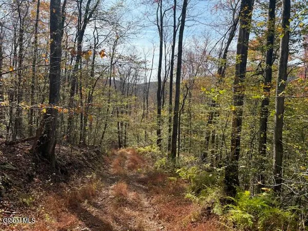 $2,868,000 | L1 Peakville Road, East Branch, NY 13756