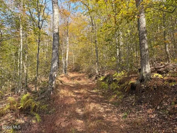 $2,868,000 | L1 Peakville Road, East Branch, NY 13756