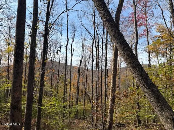 $2,868,000 | L1 Peakville Road, East Branch, NY 13756