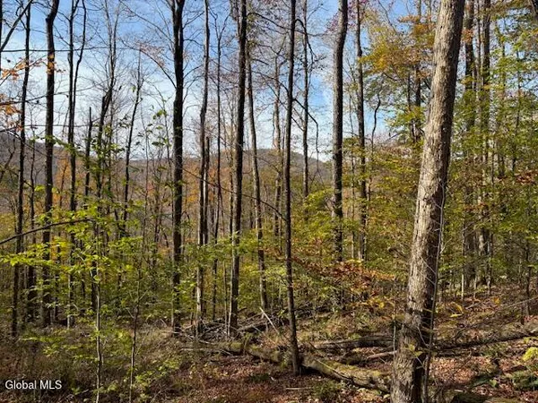 $2,868,000 | L1 Peakville Road, East Branch, NY 13756