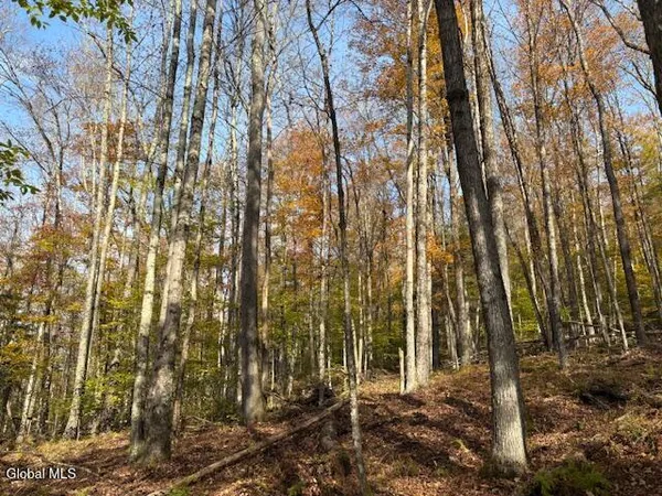 $2,868,000 | L1 Peakville Road, East Branch, NY 13756