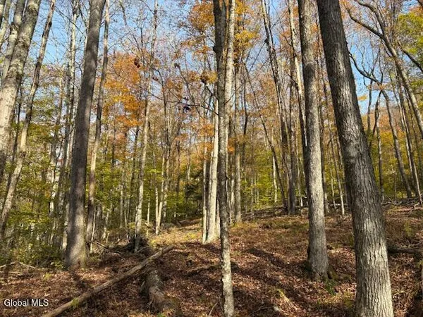 $2,868,000 | L1 Peakville Road, East Branch, NY 13756