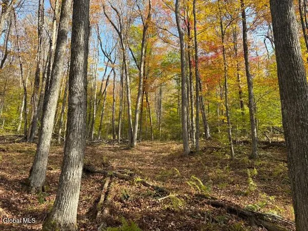 $2,868,000 | L1 Peakville Road, East Branch, NY 13756