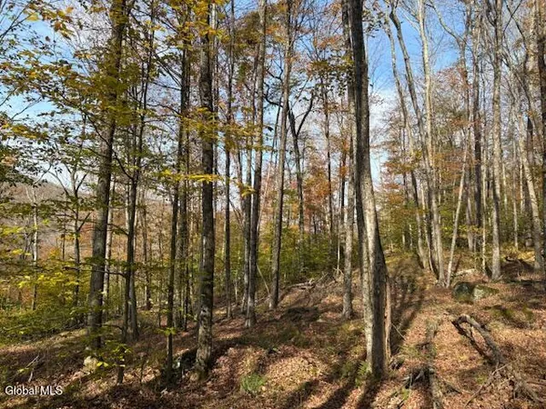 $2,868,000 | L1 Peakville Road, East Branch, NY 13756