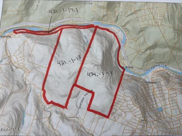 $2,868,000 | L1 Peakville Road, East Branch, NY 13756