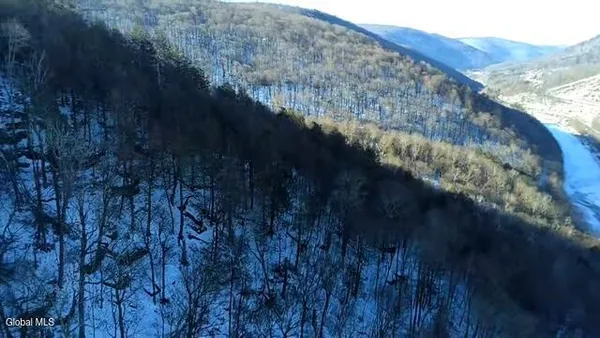 $2,868,000 | L1 Peakville Road, East Branch, NY 13756