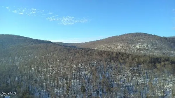 $2,868,000 | L1 Peakville Road, East Branch, NY 13756