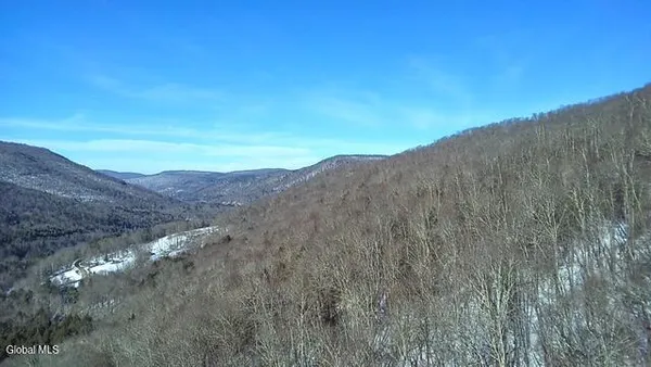 $2,868,000 | L1 Peakville Road, East Branch, NY 13756