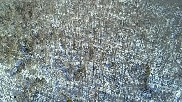 $2,868,000 | L1 Peakville Road, East Branch, NY 13756