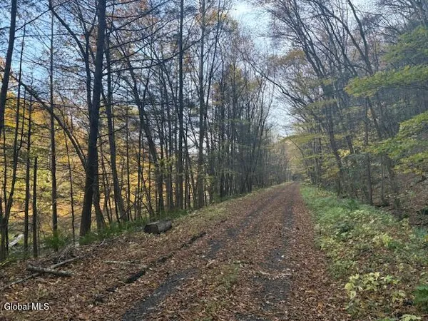 $2,868,000 | L1 Peakville Road, East Branch, NY 13756