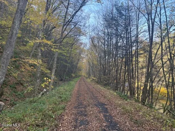 $2,868,000 | L1 Peakville Road, East Branch, NY 13756