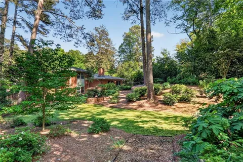 a view of a yard with plants and large trees