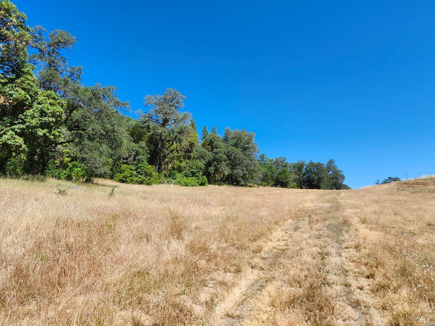 22551 Rifle Range Road Covelo, CA 95428 - Photo 17 of 24