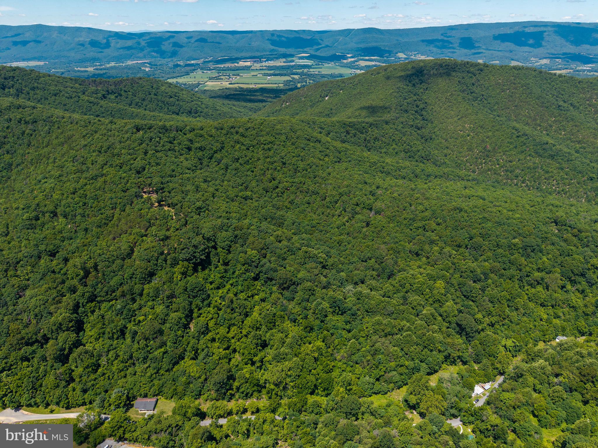 0 Dovel Hollow Road Stanley, VA 22851 - Photo 11 of 22
