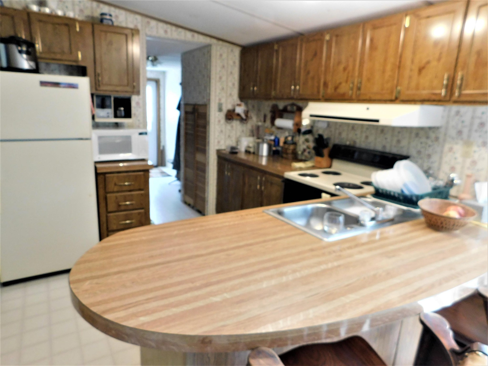 314 Summer House Hollow Road Del Rio, TN 37727 - Photo 12 of 34 Gallery Image 12