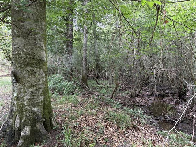 0 Thigpen Road Franklinton, LA 70438 - Photo 4 of 34