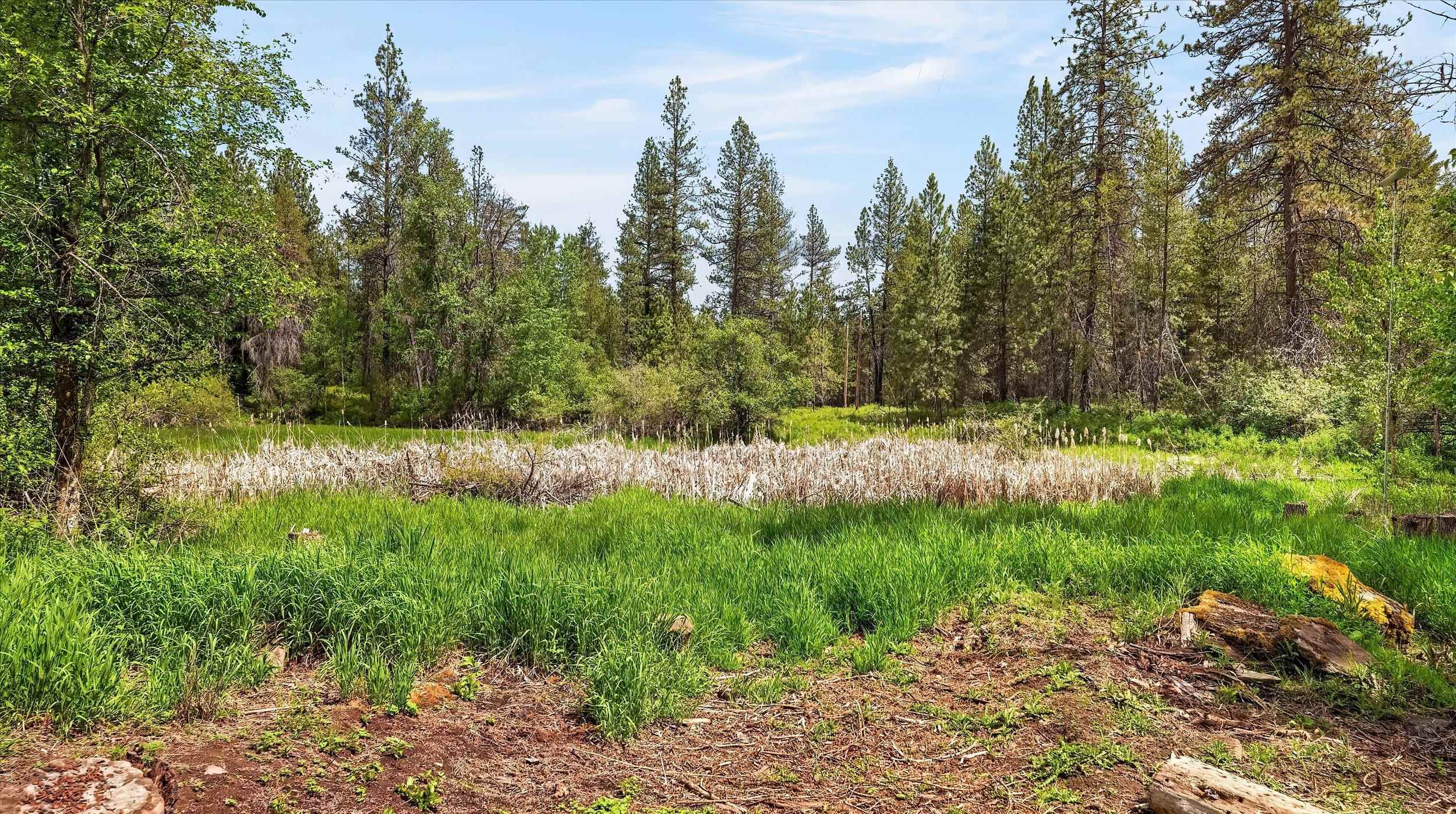 23311 North Crescent Road Chattaroy, WA 99003 - Photo 10 of 48
