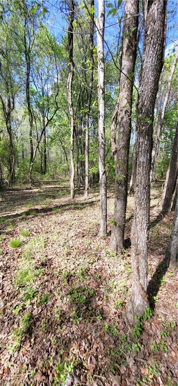 1642 Kersey Valley Road Archdale, NC 27263 - Photo 14 of 34