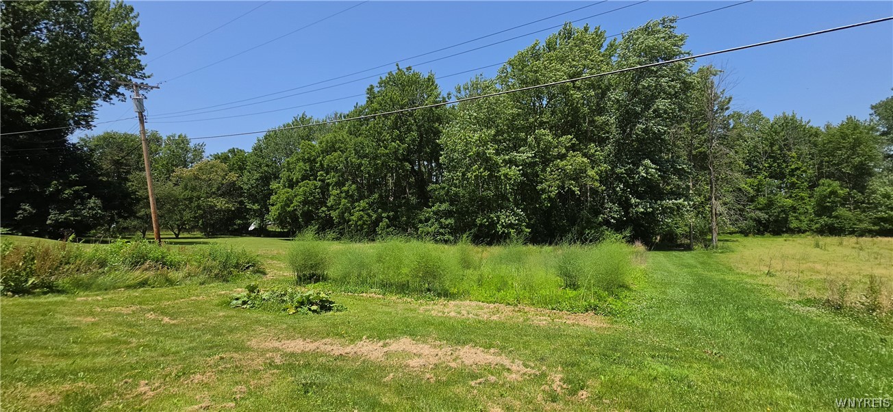 8805 Chestnut Ridge Road Royalton, NY 14067 - Photo 10 of 49
