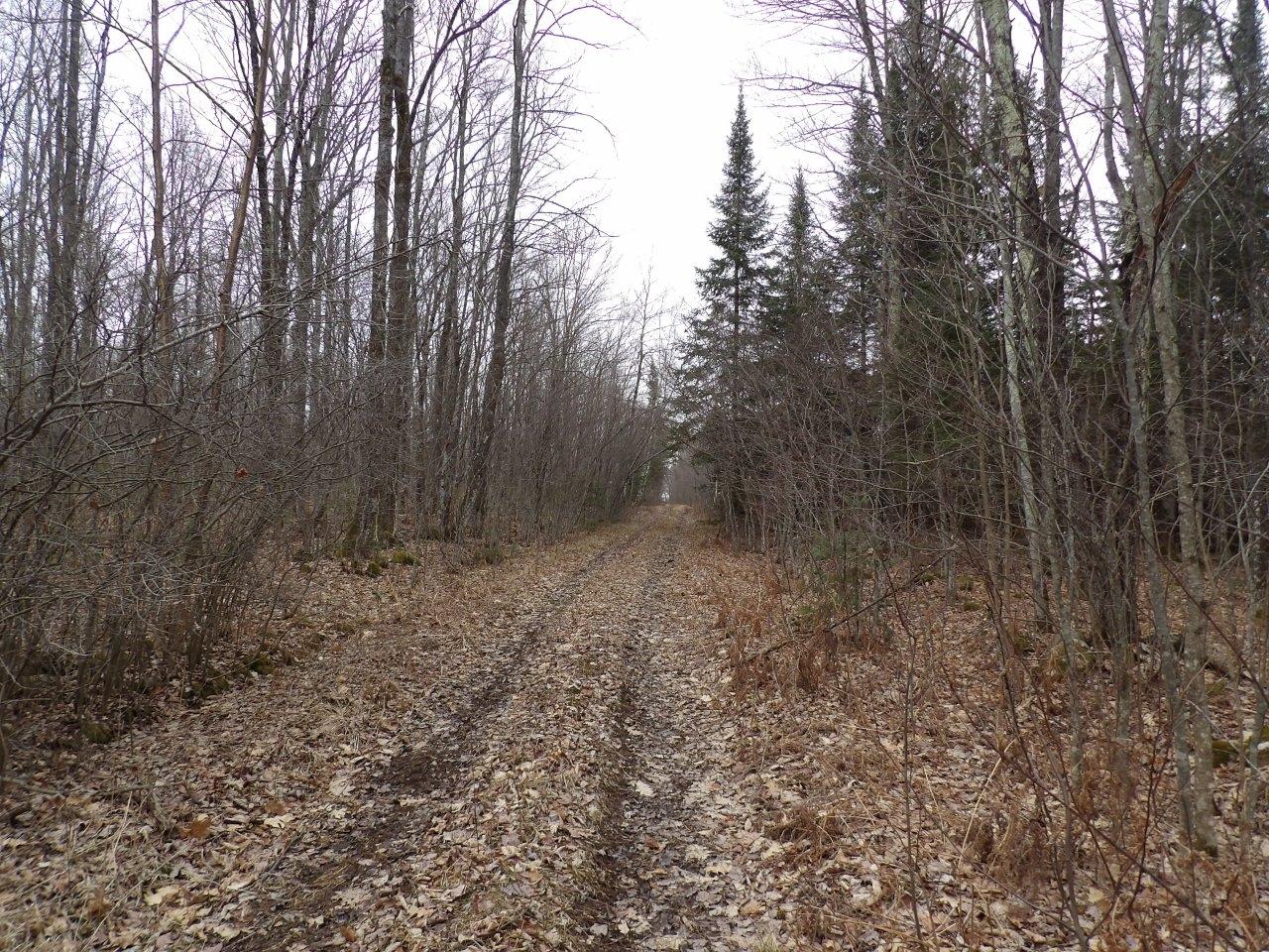 Off Wright Road, Unit 40 / ACRE Winter, WI 54896 - Photo 5 of 19 Gallery Image 5