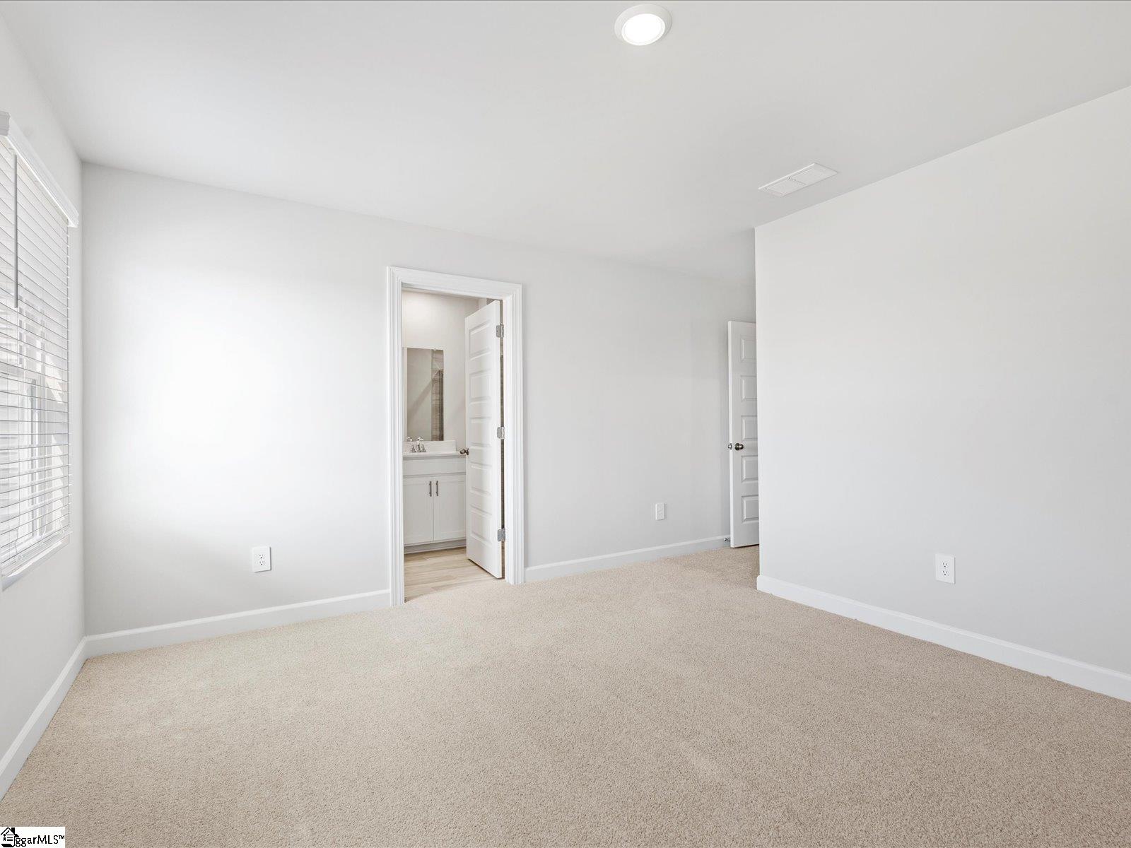 217 Cupid Court Greer, SC 29651 - Photo 11 of 26