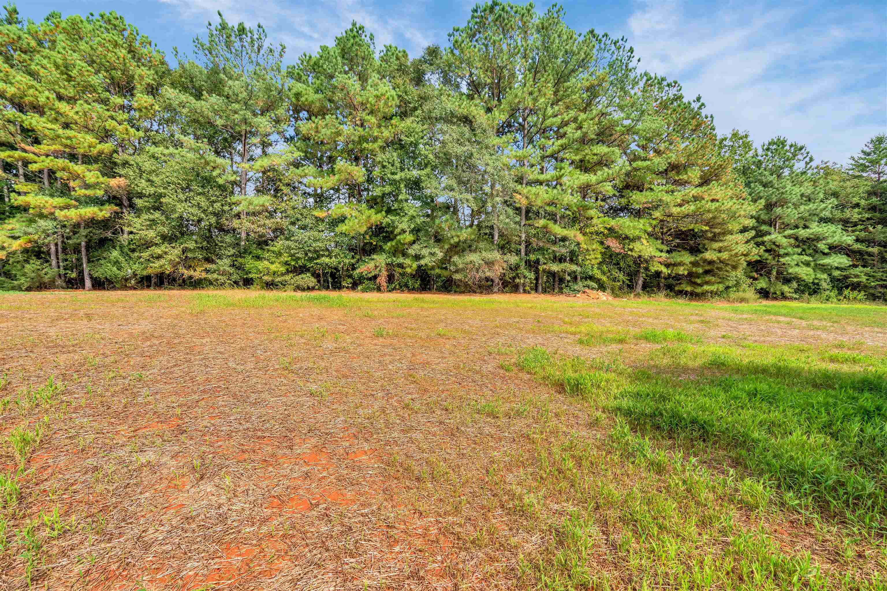 565 Bill Lattimore Road Chesnee, SC 29323 - Photo 17 of 18 Gallery Image 17