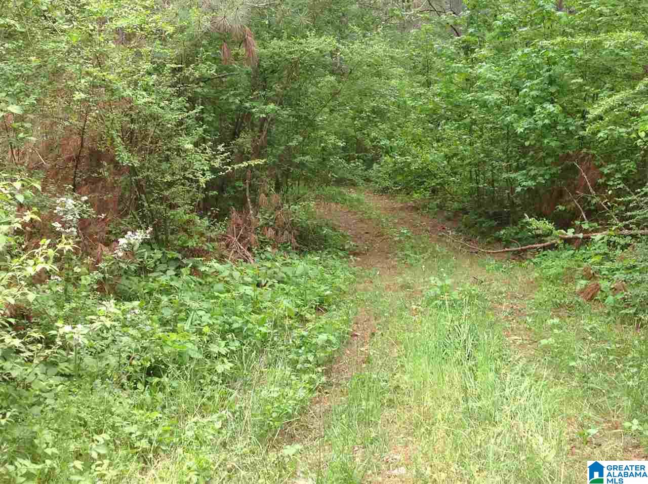 0 County Road 697 Muscadine, AL 36269 - Photo 2 of 8