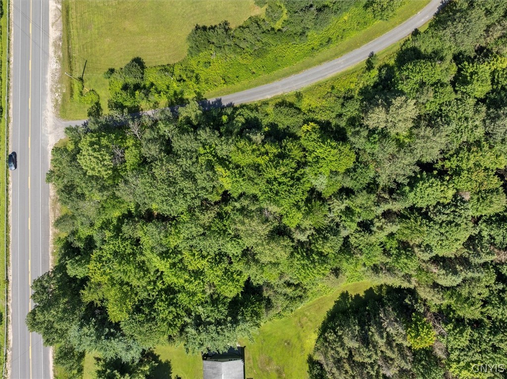 0 Trenton Road Deerfield, NY 13502 - Photo 11 of 24