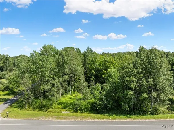 $140,000 | 0 Trenton Road, Deerfield, NY 13502