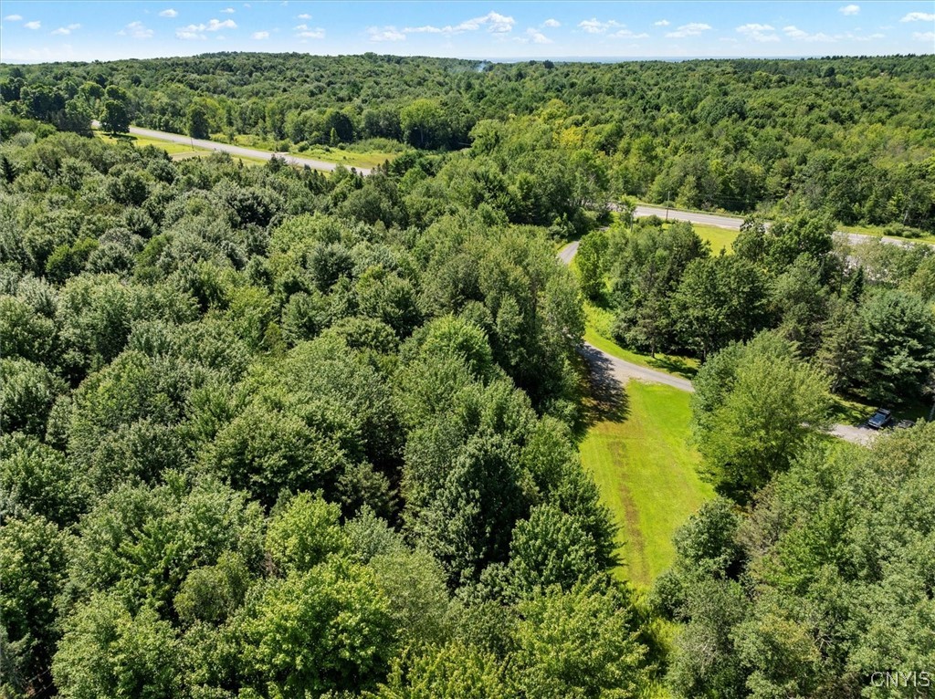 0 Trenton Road Deerfield, NY 13502 - Photo 16 of 24