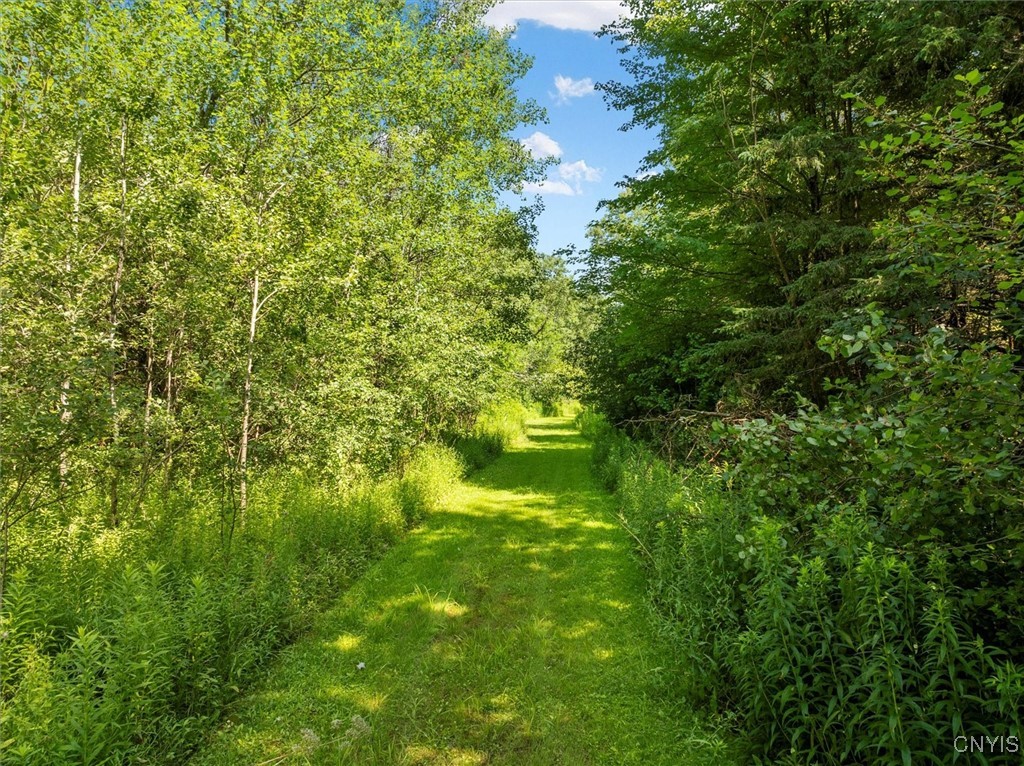 0 Trenton Road Deerfield, NY 13502 - Photo 18 of 24