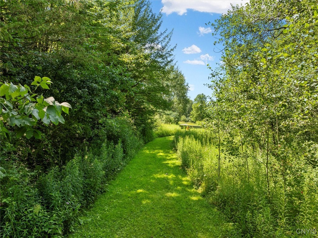 0 Trenton Road Deerfield, NY 13502 - Photo 3 of 24