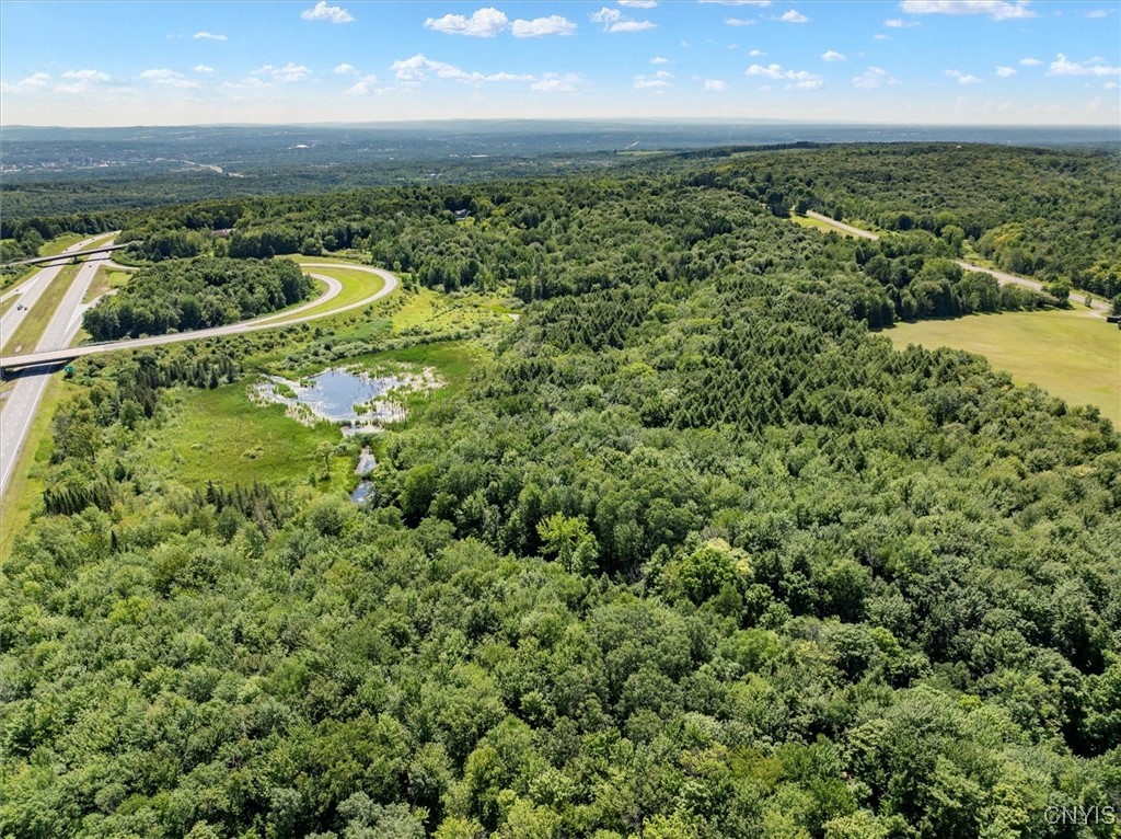 0 Trenton Road Deerfield, NY 13502 - Photo 6 of 24