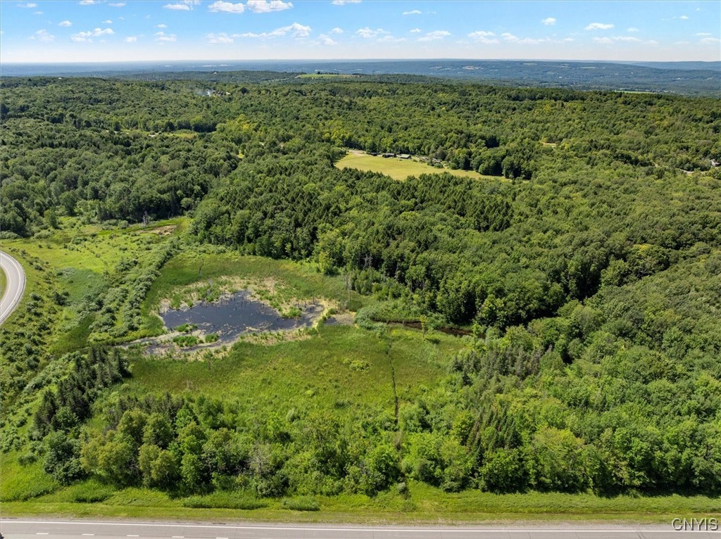 0 Trenton Road Deerfield, NY 13502 - Photo 7 of 24