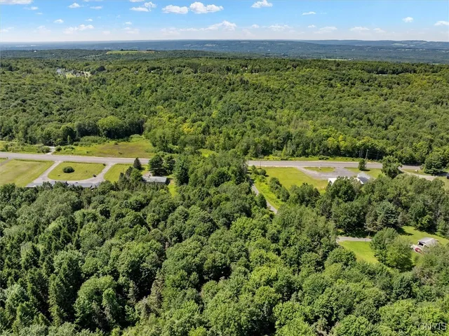 $140,000 | 0 Trenton Road, Deerfield, NY 13502