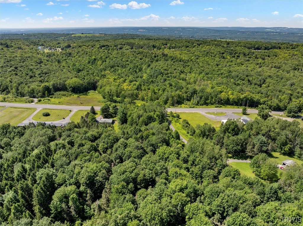 0 Trenton Road Deerfield, NY 13502 - Photo 10 of 24