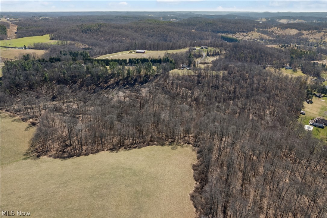 Boy Scout Road Northeast Dover, OH 44622 - Photo 7 of 11