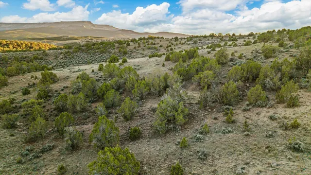 a view of a city with mountains in the background