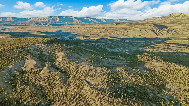 a view of an ocean beach
