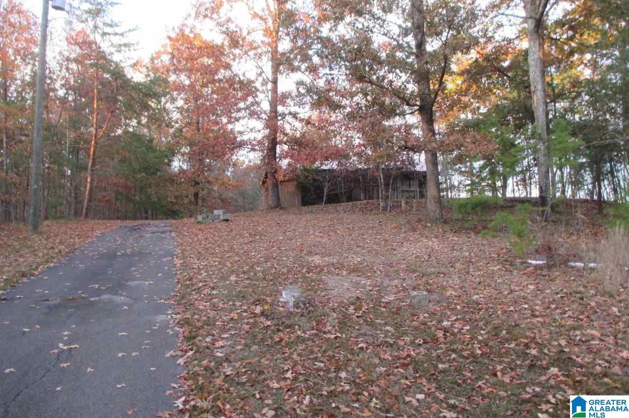 1055 Sullivan Lane Springville, AL 35146 - Photo 3 of 13