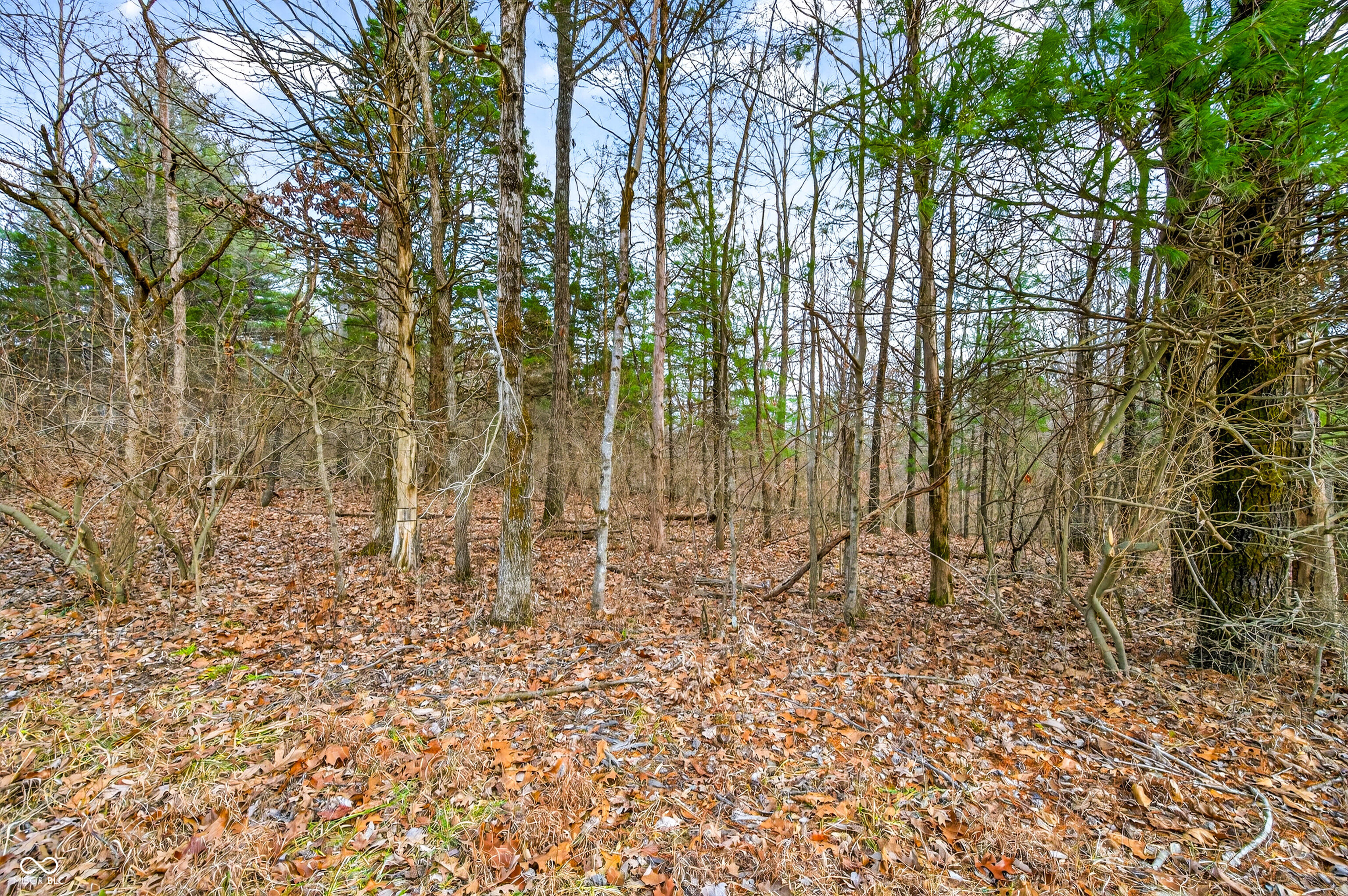 0 Garrity Road Freetown, IN 47274 - Photo 19 of 26