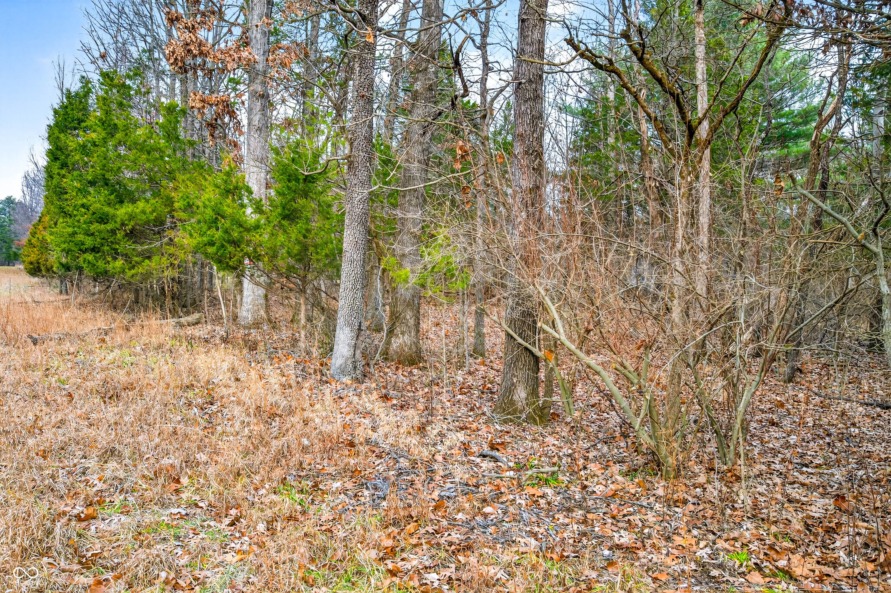 0 Garrity Road Freetown, IN 47274 - Photo 20 of 26