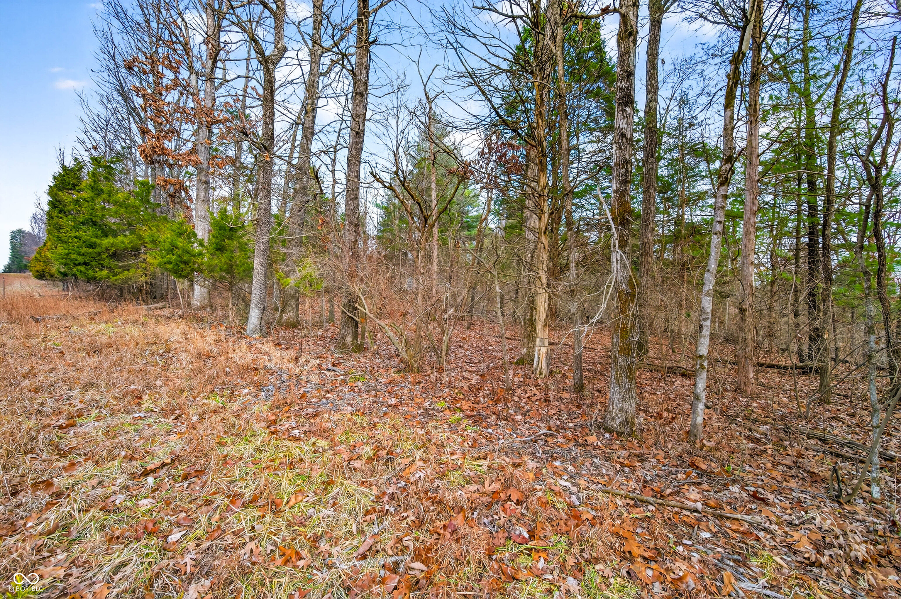 0 Garrity Road Freetown, IN 47274 - Photo 21 of 26