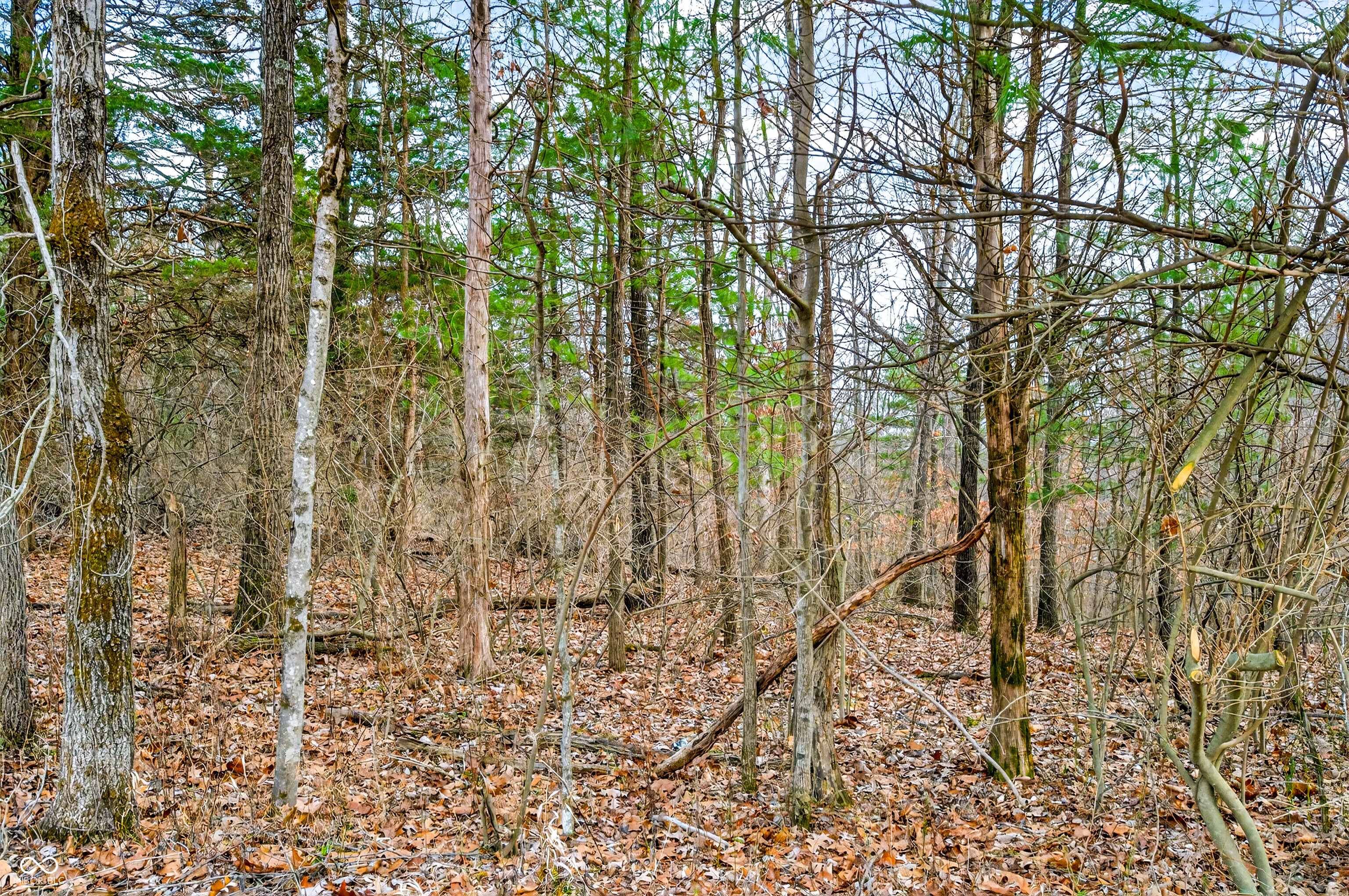 0 Garrity Road Freetown, IN 47274 - Photo 22 of 26