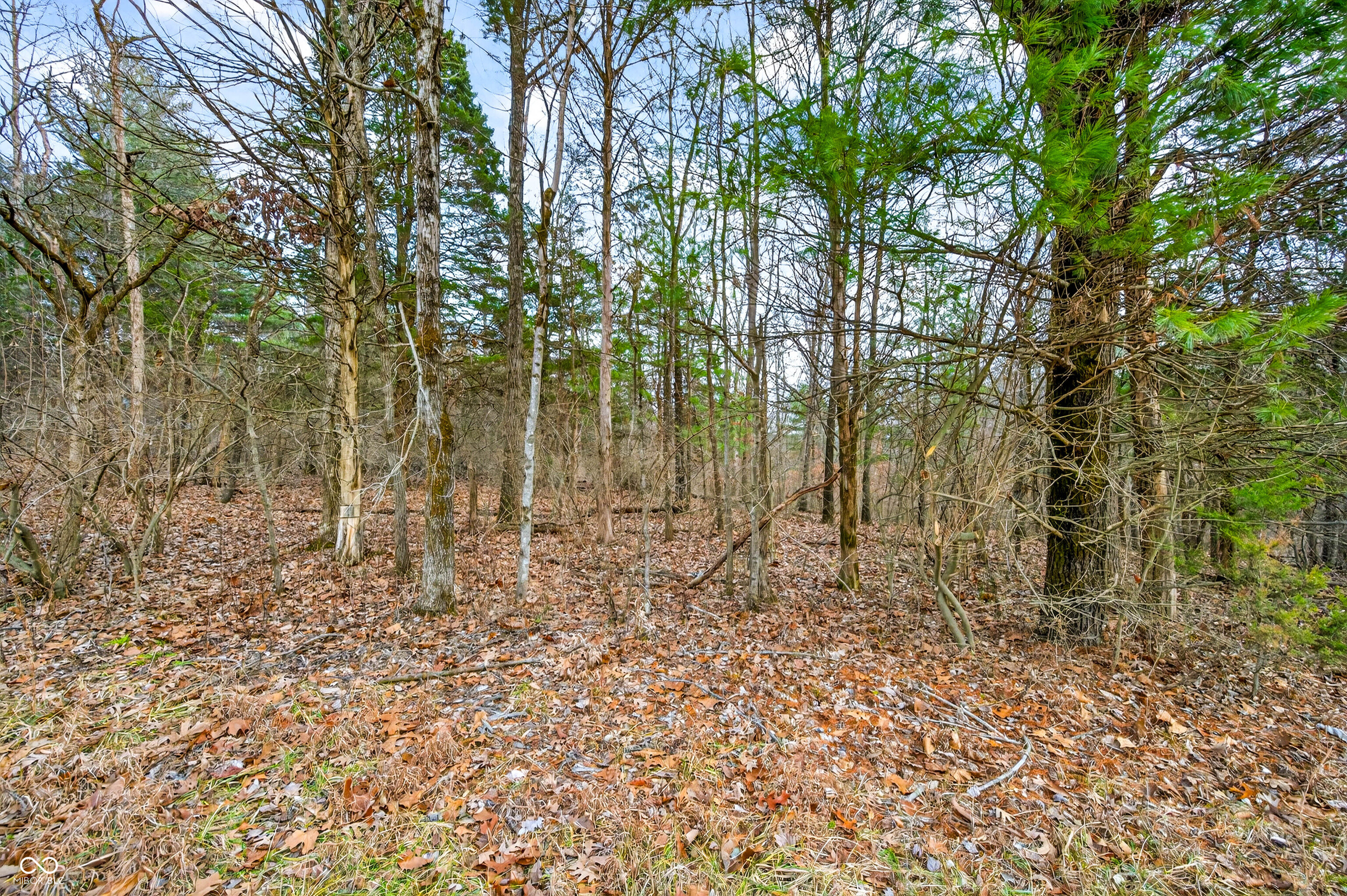 0 Garrity Road Freetown, IN 47274 - Photo 23 of 26